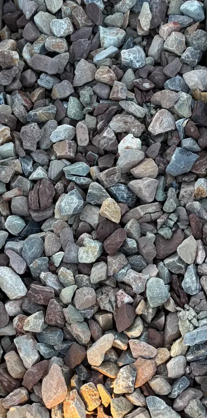 Miners Mite