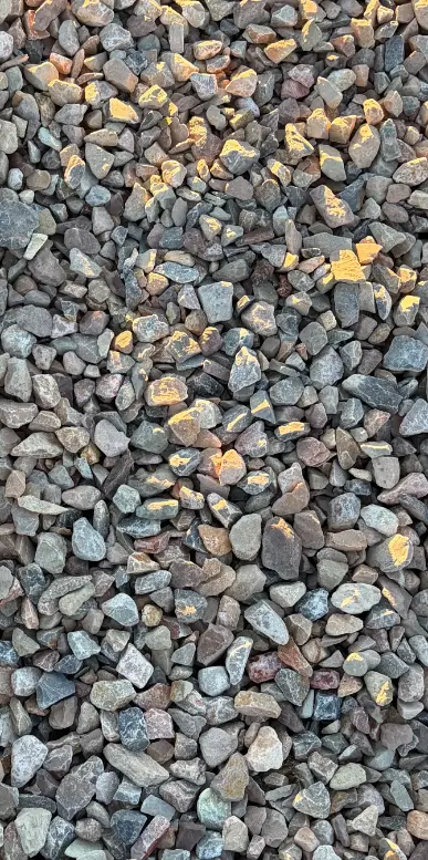 Miners Mite