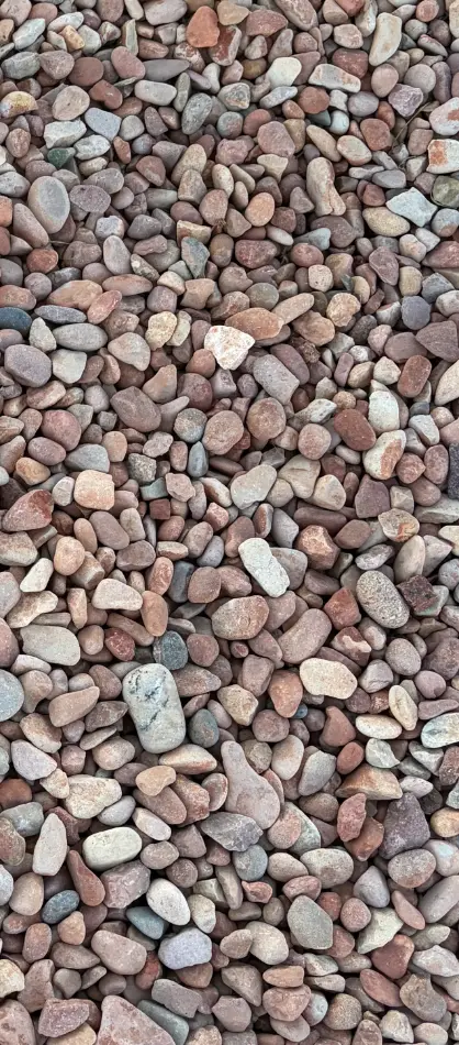 Salmon Gravel