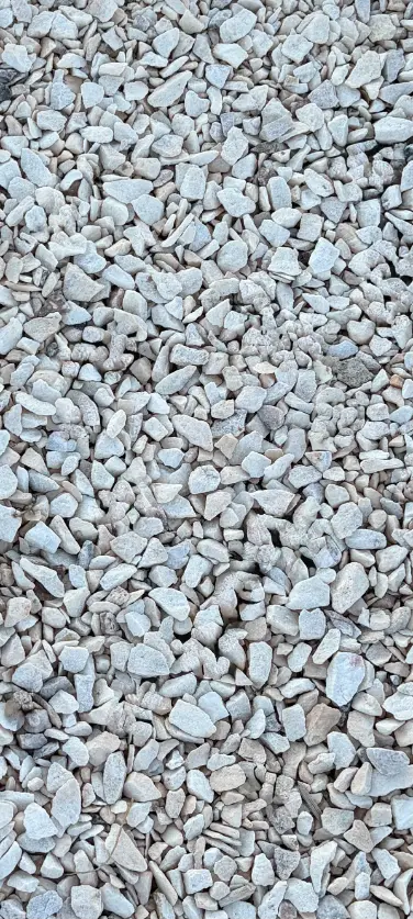 White Rocks