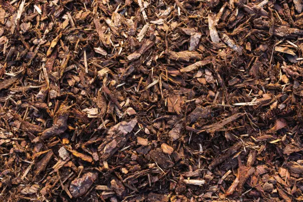 Wood